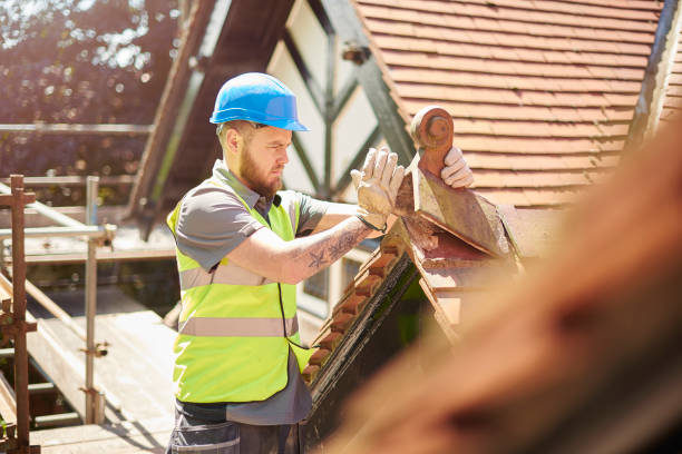 Best Roof Gutter Cleaning  in Lost Hills, CA